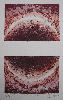 Universi